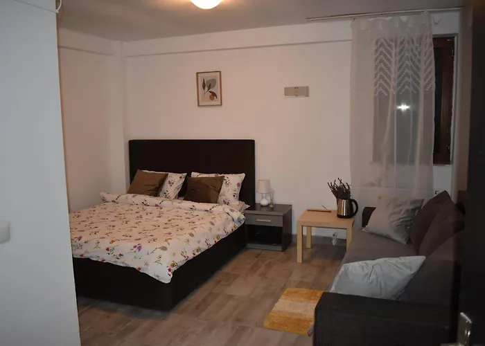 Occidental Wise Transit