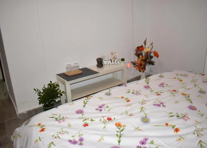 Occidental Wise Transit