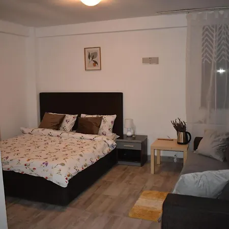 Occidental Wise Transit