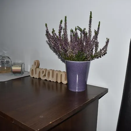 Hotel Occidental Wise Transit 3*