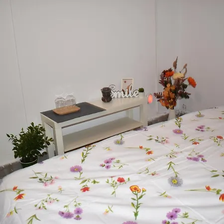 Occidental Wise Transit