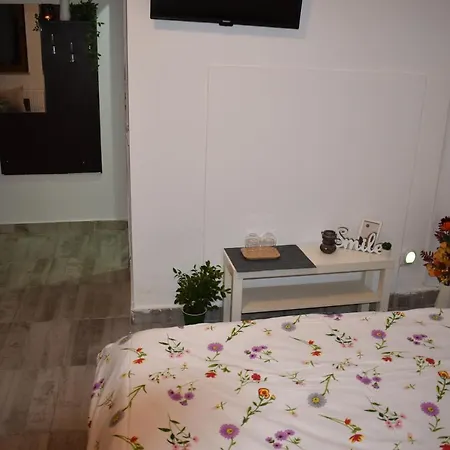 Occidental Wise Transit מלון