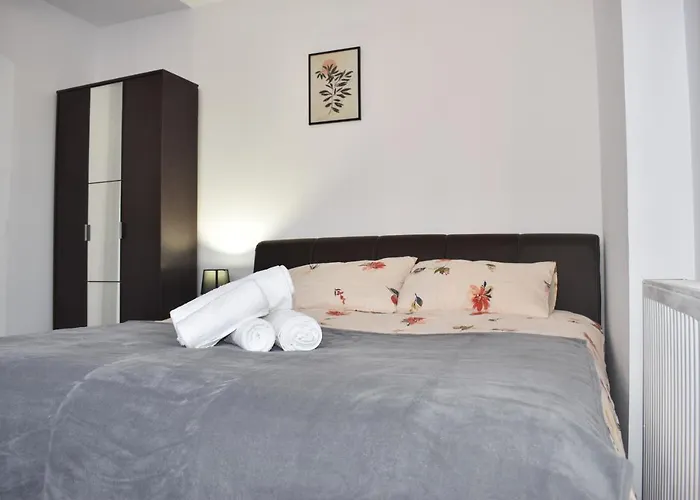 Occidental Wise Transit