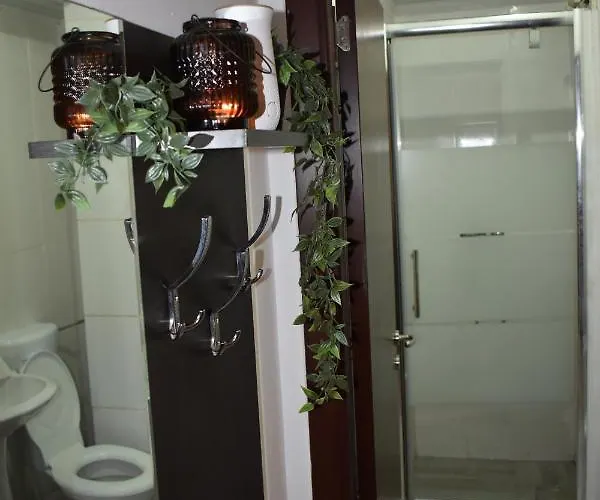 Occidental Wise Transit 호텔