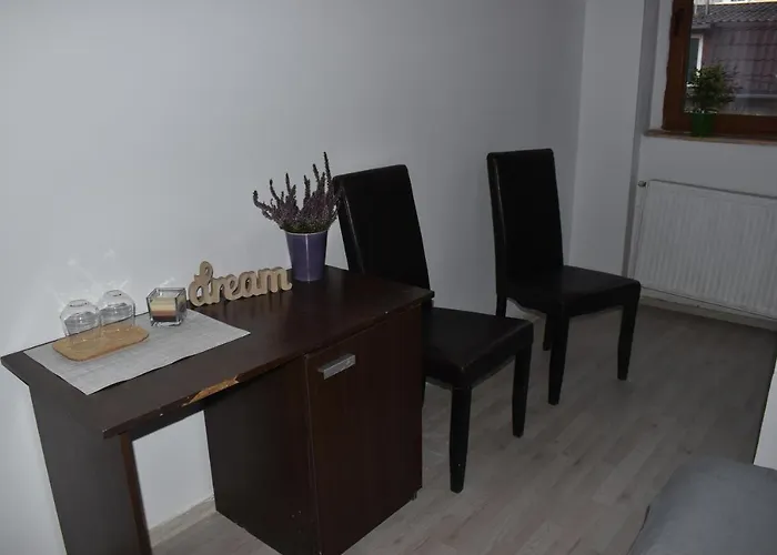 Occidental Wise Transit 호텔