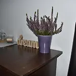 Hotel Occidental Wise Transit 3*