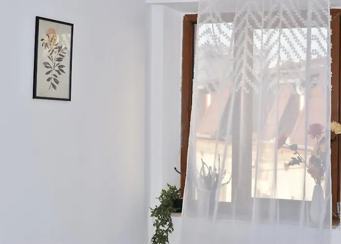 Occidental Wise Transit