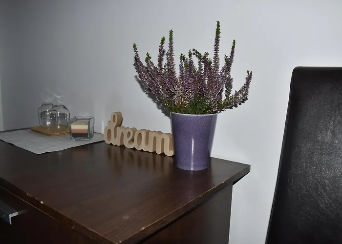 Готель Occidental Wise Transit 3*