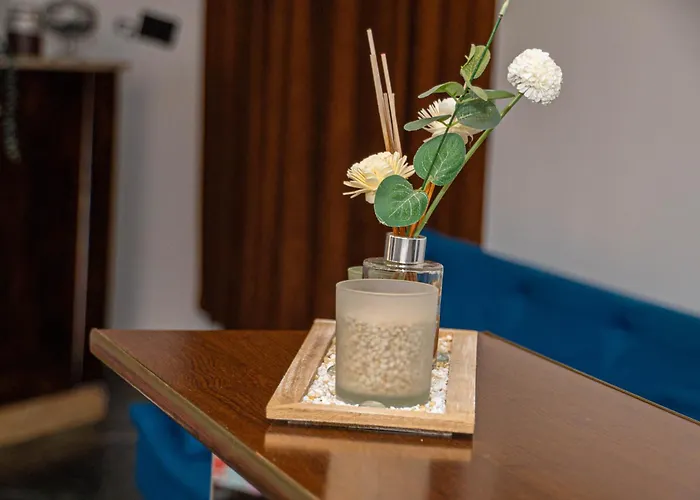 Occidental Wise Transit 3*